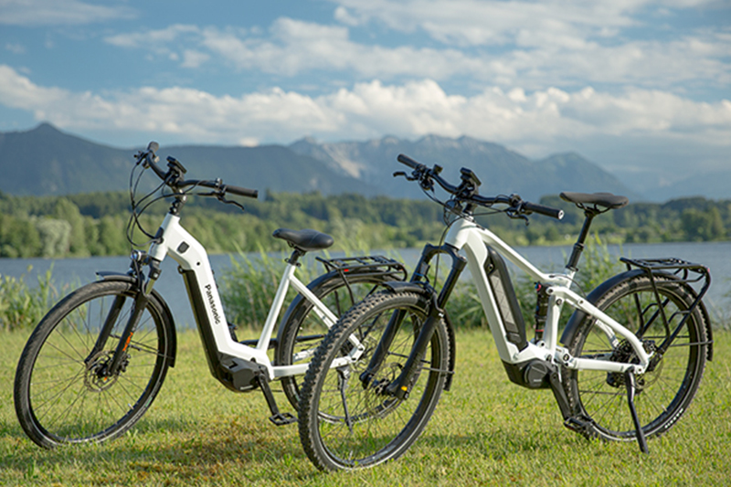 e bike motor unit